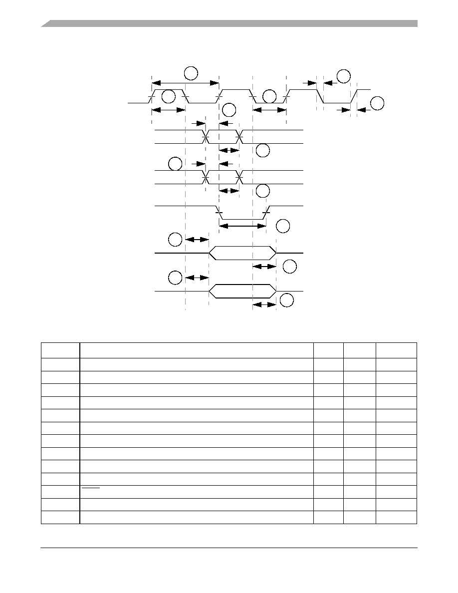 Scflxrayadpts Freescale Pdf Datasheet